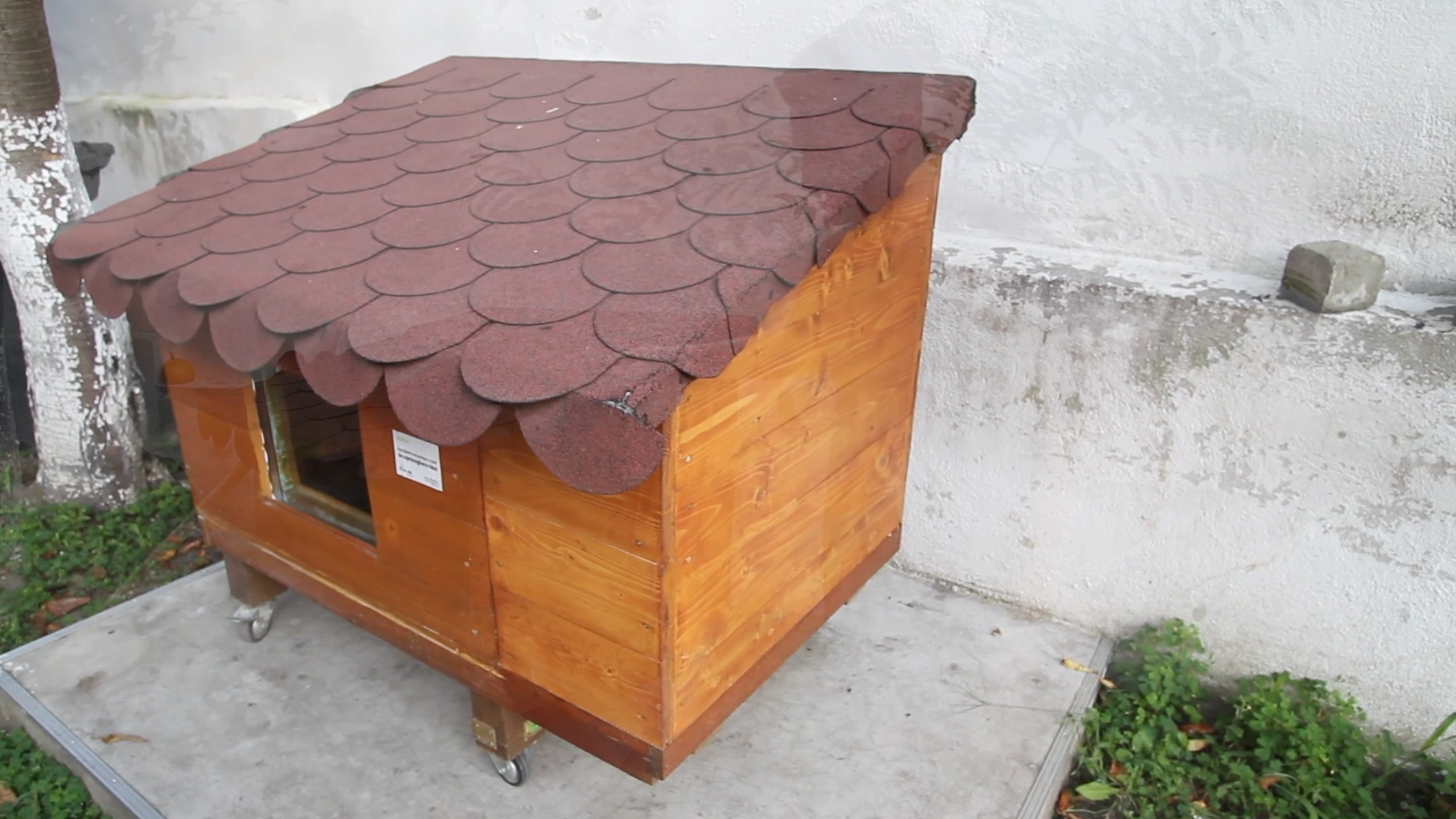 Build Outdoor Cat House