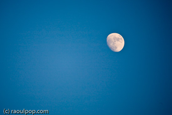 Moon rises over Grosvenor