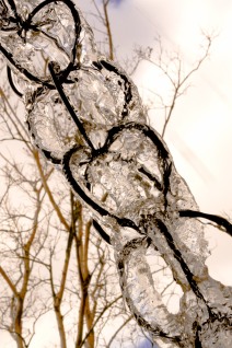 Ice on chain links. National Arboretum, Washington, DC, USA.