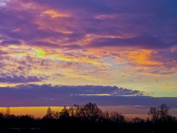 Dawn sky, Grosvenor Park.