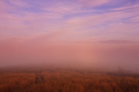 A hillside on the outskirts of Tulcea, Romania, blanketed in soft fog.