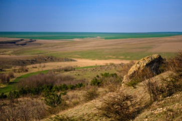 A Dobrogea landscape