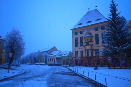 Taken during a mid-February snowfall in Medias, Romania