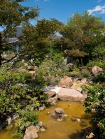 Pond below a waterfall, Morikami Museum and Japanese Gardens, Delray Beach, FL, USA.
