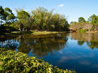 Lake, Morikami Museum and Japanese Gardens, Delray Beach, FL, USA.