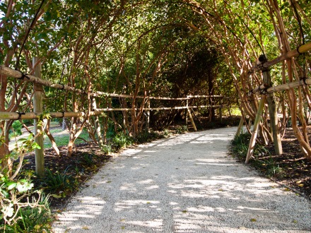 Wonderful path below an arch of tree branches, Morikami Museum and Japanese Gardens, Delray Beach, FL, USA.